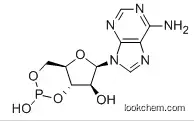 Molecular Structure of 86579-26-2 (9-(3,5-O-PHOSPHINYLIDENE-D-ARABINOFURANOSYL)-9H-PURIN-6-AMINE)